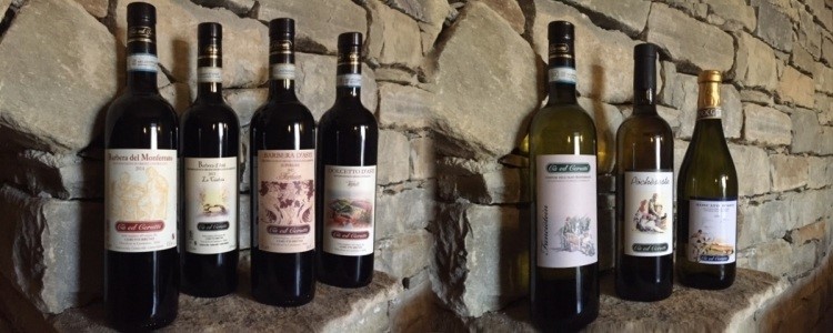 Produzione vino Cantina Cerutti a Cassinasco, Asti