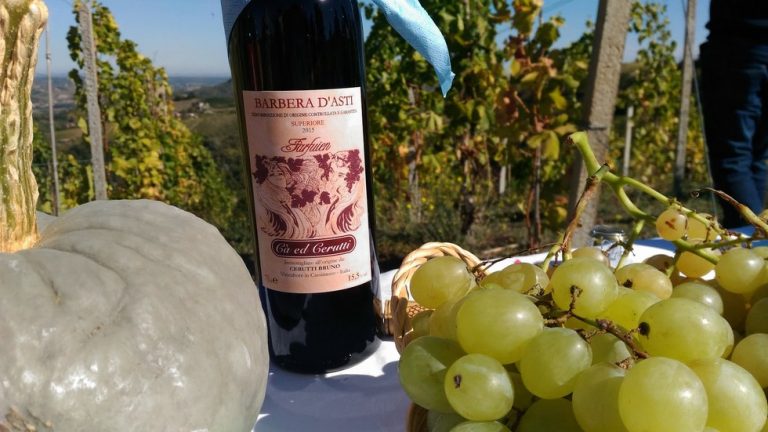 Barbera d'Asti superiore Docg