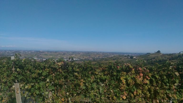 Panorama vigneti Patrimonio Unesco