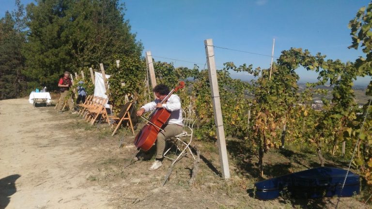 Violinista nelle vigne di Cantina Cerutti